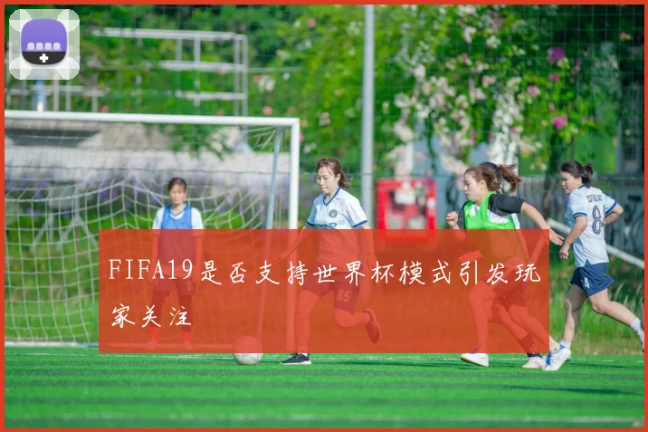 FIFA19是否支持世界杯模式引发玩家关注