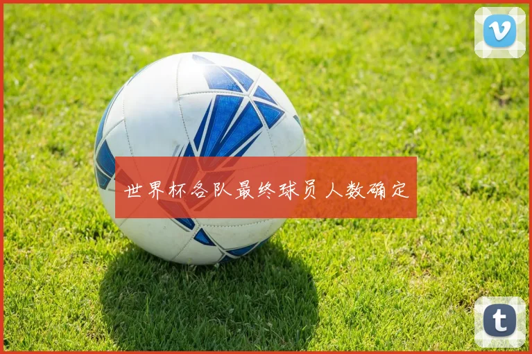 世界杯各队最终球员人数确定