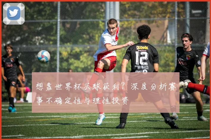 想靠世界杯买球获利？深度分析赛事不确定性与理性投资