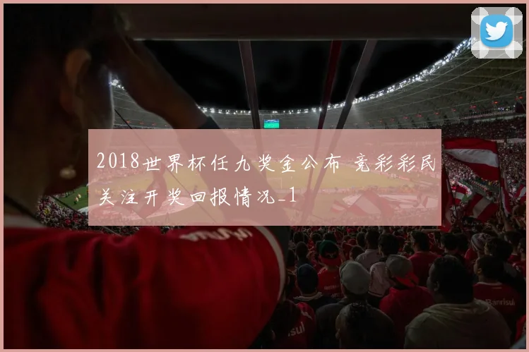 2018世界杯任九奖金公布 竞彩彩民关注开奖回报情况_1