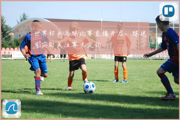 世界杯乒乓球比赛直播开启，球迷可实时关注赛况变化