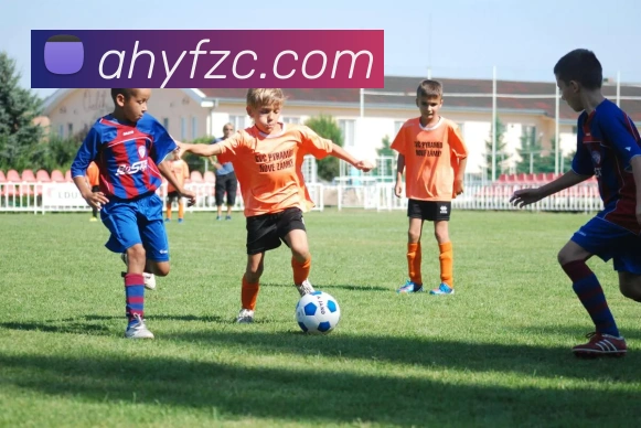 多媒体互动体验